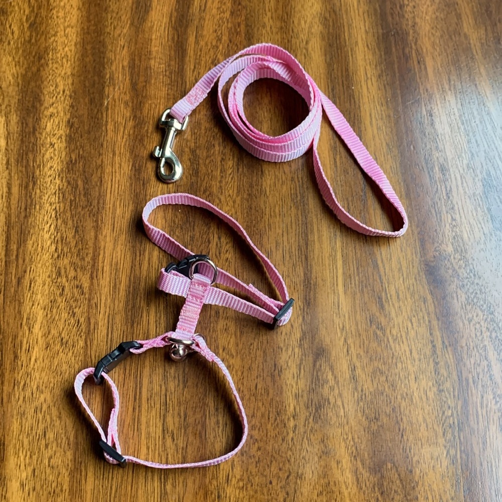 Small Animal Exotic Harness & Leash